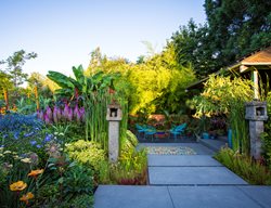 Portland Garden, Tropical Garden
Garden Diva Designs
Hillsboro, OR