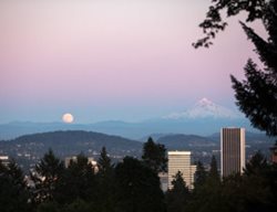 Portland Japanese Garden
Garden Design
Calimesa, CA