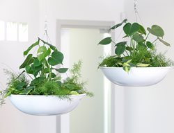 Pot Incorporated
Vancouver, BC