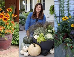 Potting Planters, Fall
Proven Winners
Sycamore, IL