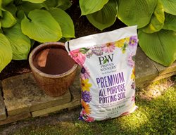 Potting Soil And Pot
Proven Winners
Sycamore, IL