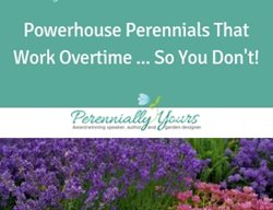 Powerhouse Perennials Course
Perennially Yours
PA