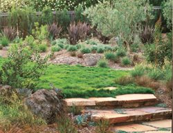 Prairie Junegrass Lawn (koeleria Macrantha)
Garden Design
Calimesa, CA