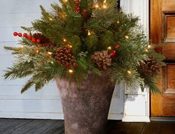 Pre-Lit Urn Filler
Garden Design
Calimesa, CA