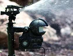 Prepare For Deer
Garden Design
Calimesa, CA