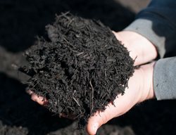 Prepare For Fall Planting
Garden Design
Calimesa, CA