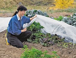 Prepare For Frost
Garden Design
Calimesa, CA