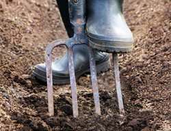 Prepare Garden Beds
Garden Design
Calimesa, CA
