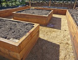 Prepare New Planting Beds
Garden Design
Calimesa, CA