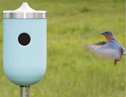 Prepare Ponds & Pull Out Your Bird Feeders
Garden Design
Calimesa, CA