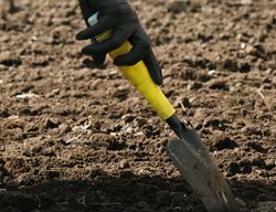 Prepare Soil Now For Spring
Garden Design
Calimesa, CA