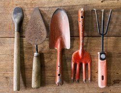 Prepare Tools For The Season
Garden Design
Calimesa, CA