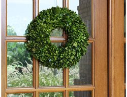 Preserved Wreath, Boxwood Wreath
COCOMIA

