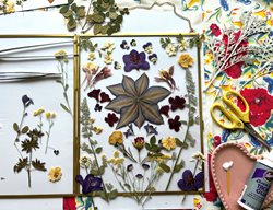 Preserving Flowers, Dried Flowers, Pressed Flowers
Garden Design
Calimesa, CA