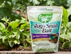 Prevent Slugs & Snails From Invading Your Garden
Garden Design
Calimesa, CA