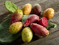 Prickly Pear Fruit, Nopales, Edible Fruit
Shutterstock.com
New York, NY