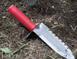 Professional Gardener’s Digging Tool
Garden Design
Calimesa, CA