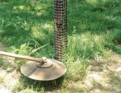 Protect Young Trees & Shrubs
Garden Design
Calimesa, CA