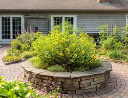 Proven Harvest Pollinator Garden
Proven Winners
Sycamore, IL