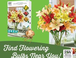 Proven Winners Flowering Bulbs
Proven Winners
Sycamore, IL