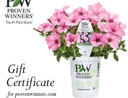 Proven Winners Gift Certificate
Proven Winners
Sycamore, IL