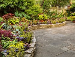 Proven Winners
Sycamore, IL