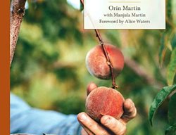 Prune & Spray Fruit Trees 
Garden Design
Calimesa, CA