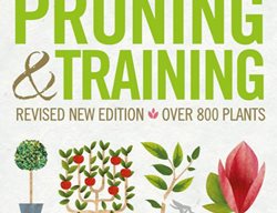 Prune Trees And Shrubs
Garden Design
Calimesa, CA