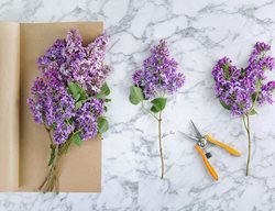 Pruning Plants
Garden Design
Calimesa, CA