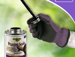 Pruning Sealer
Garden Design
Calimesa, CA