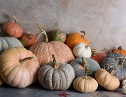 Pumpkins
Garden Design
Calimesa, CA