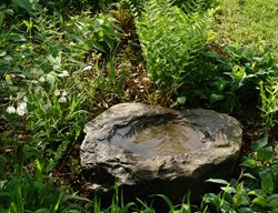  Quarry Stone, Stone Birdbath
Rick Darke LLC
Landenberg, PA