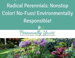 Radical Perennials Video
Garden Design
Calimesa, CA