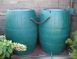 Rain Barrels
Missouri Botanical Garden
St. Louis, MO