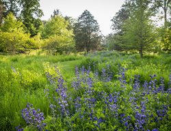 Rain Or Shine
Garden Design
Calimesa, CA