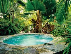 Rainfores Atmosphere
Garden Design
Calimesa, CA