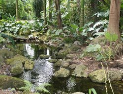 Rainforest Stream
Garden Design
Calimesa, CA