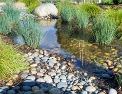  Rainwater Catchment, Rain Garden
Theodore Payne Foundation
Sun Valley, CA