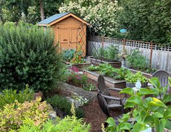 Raised Bed Garden
Garden Design
Calimesa, CA