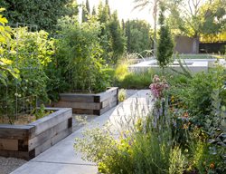 Raised Beds In Garden
Garden Design
Calimesa, CA