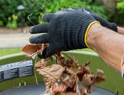 Rake Leaves & Add Them To Your Compost Pile Or Garden Beds
Garden Design
Calimesa, CA