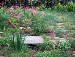Rau Griffith, Los Angeles Garden, Open Day
The Garden Conservancy
Cold Springs, NY