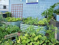 Read Up On Kitchen Gardening
Garden Design
Calimesa, CA