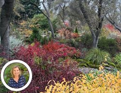 Rebecca Resolutions
Garden Design
Calimesa, CA