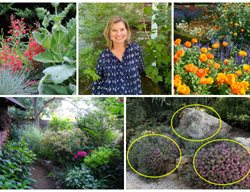 Rebecca Sweet Garden Photos
Garden Design
Calimesa, CA