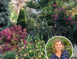 Rebecca Webinar
Garden Design
Calimesa, CA