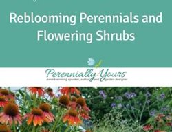 Reblooming Perennials & Flowering Shrubs Video
Garden Design
Calimesa, CA