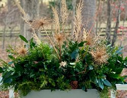 Rectangle Winter Plant Container
Garden Design
Calimesa, CA