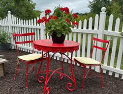 Red Bistro Table In Garden
Garden Design
Calimesa, CA