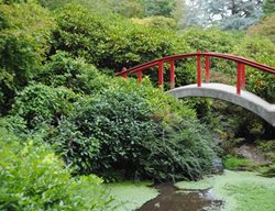 Red Bridge In Garden
Garden Design
Calimesa, CA